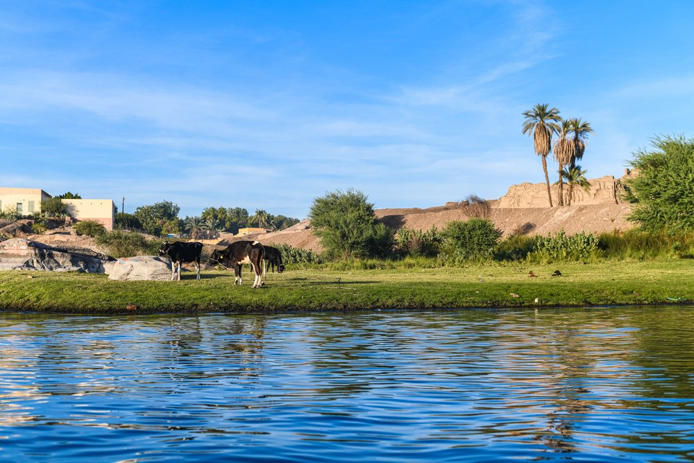 Aswan Egypt