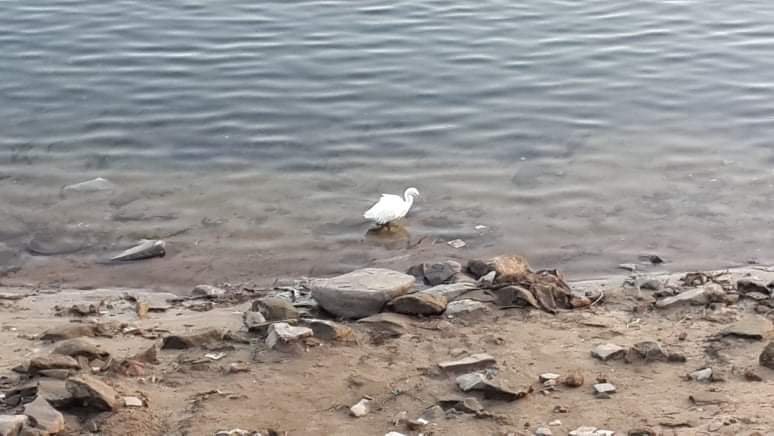 Aswan Egypt