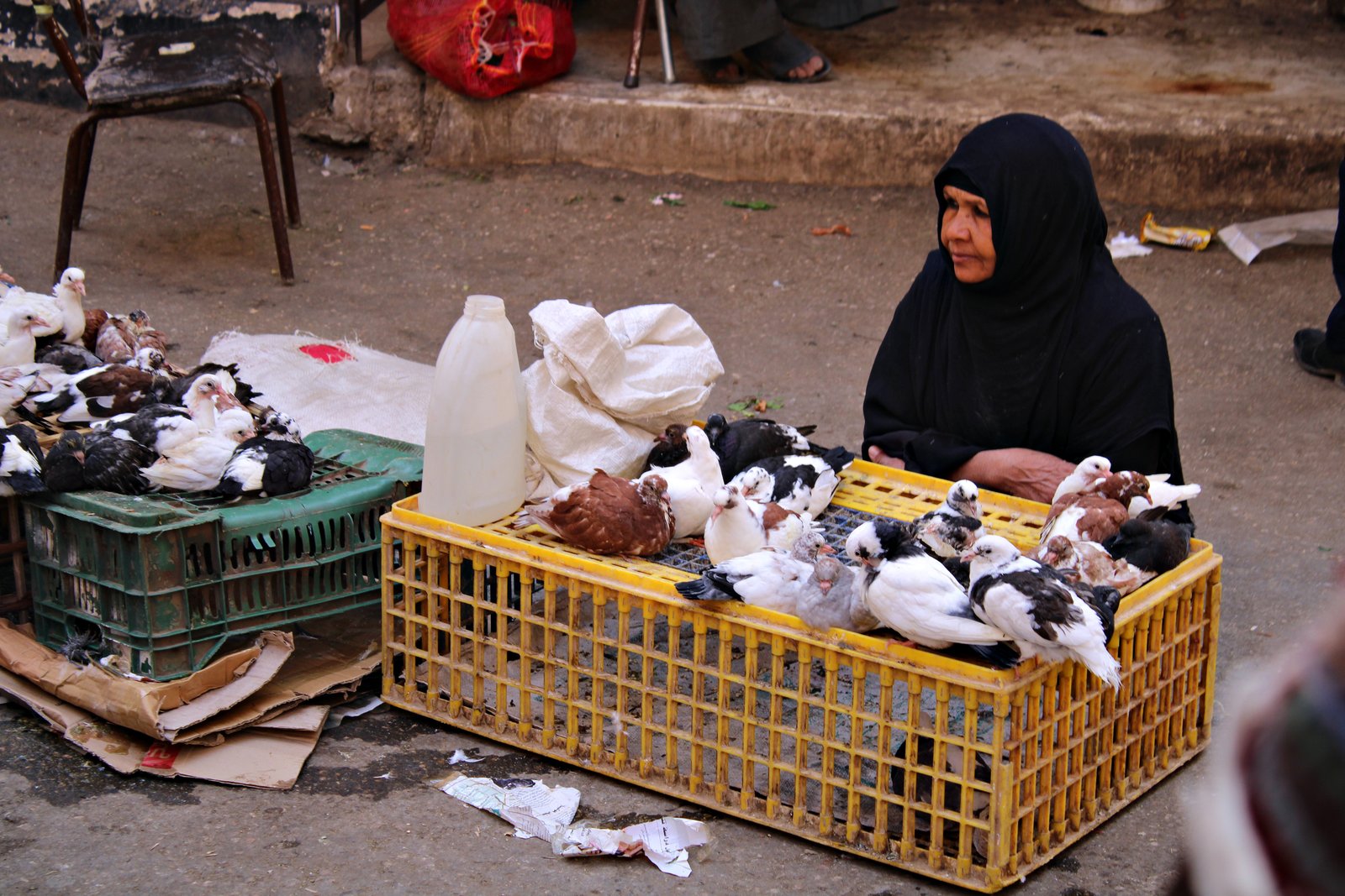 القاهرة مصر