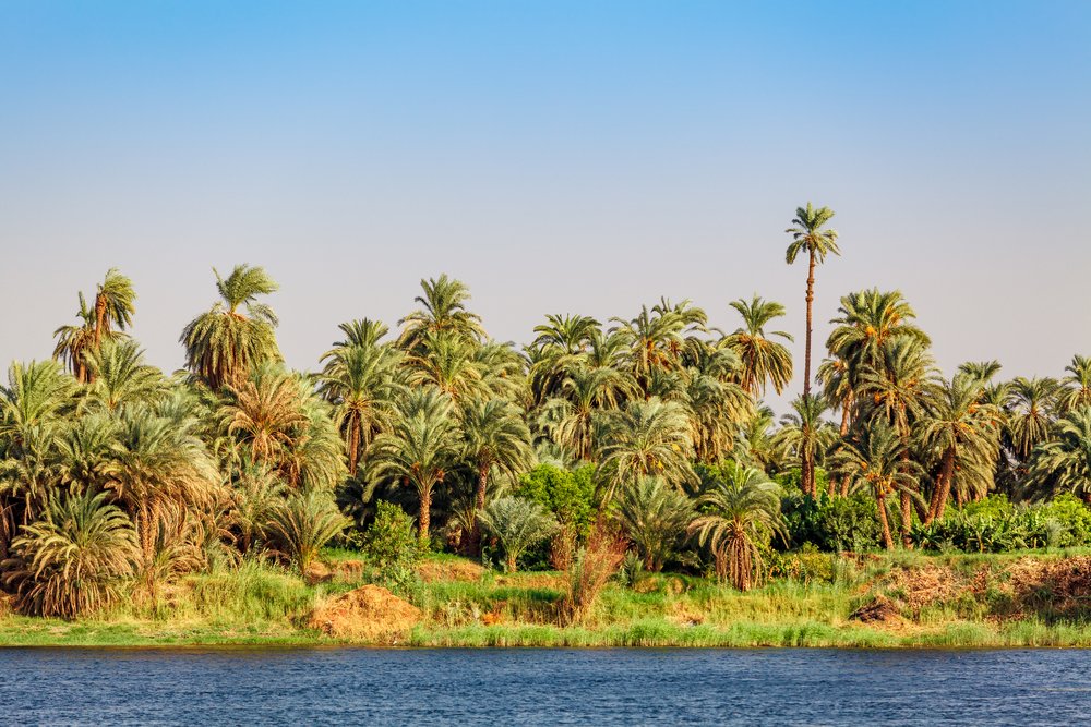 A surreal desert landscape in Egypt