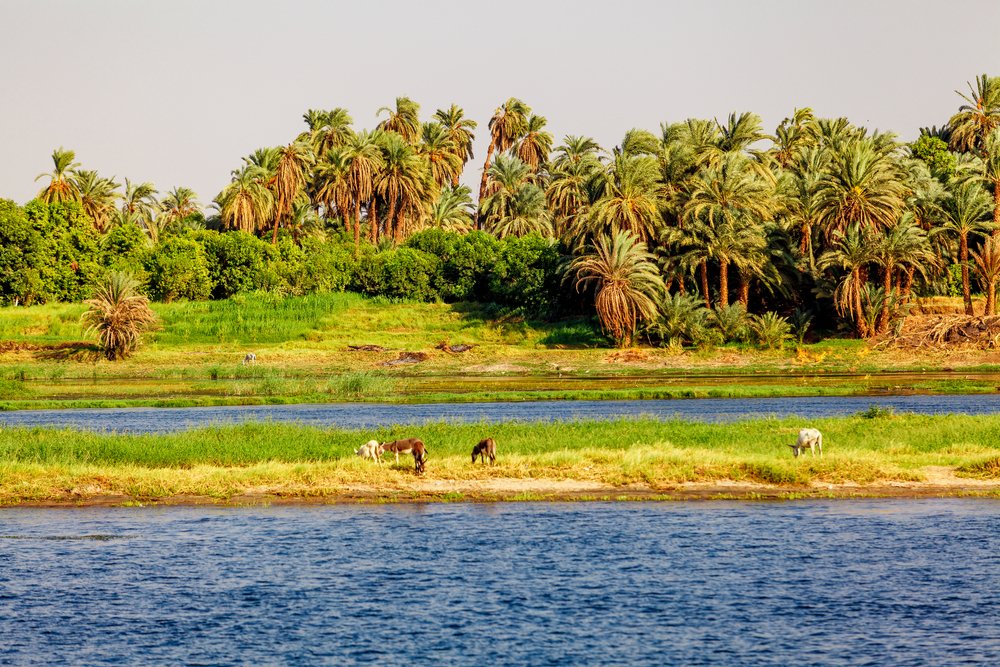 Interesting Places in Egypt
