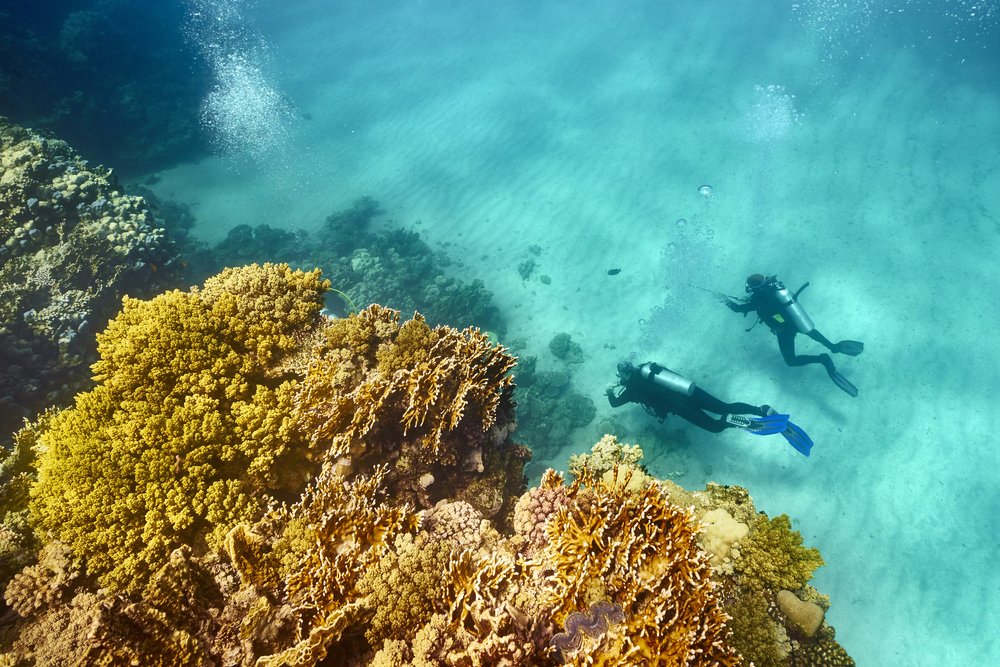 Sinai and Red Sea Egypt
