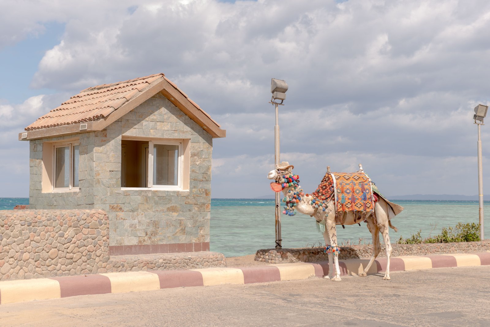 Sinai and Red Sea Egypt