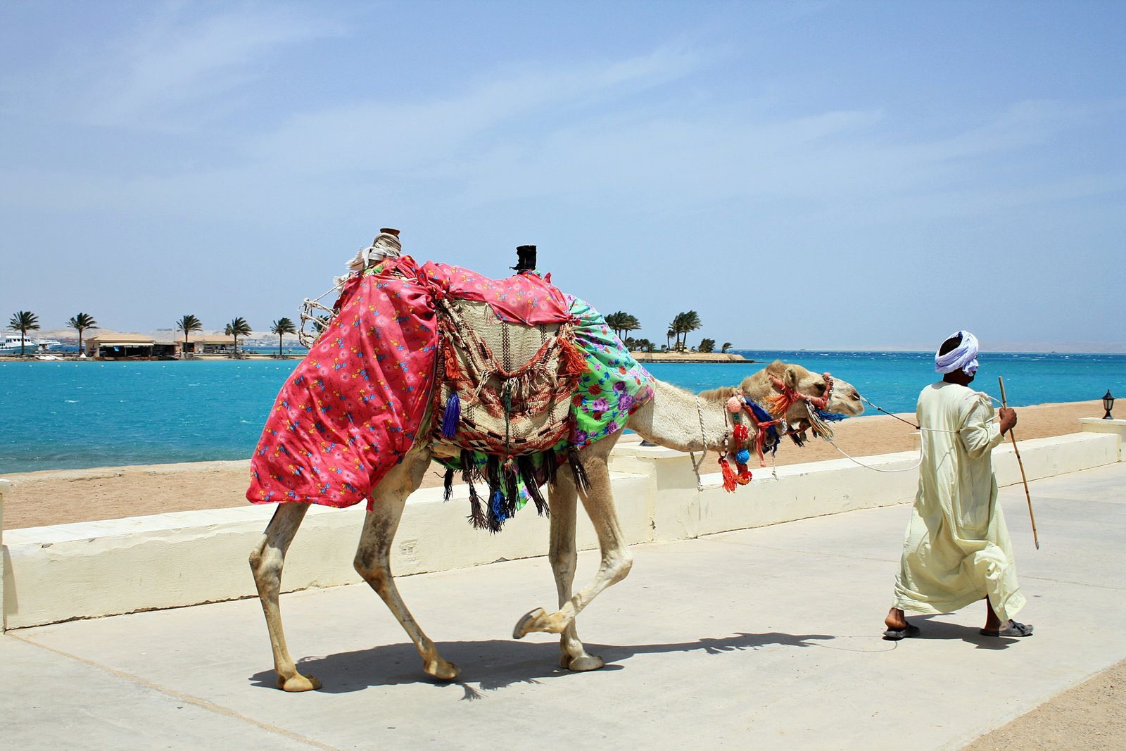 Sinai and Red Sea Egypt