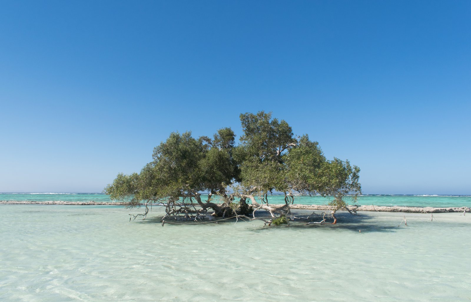 Sinai and Red Sea Egypt