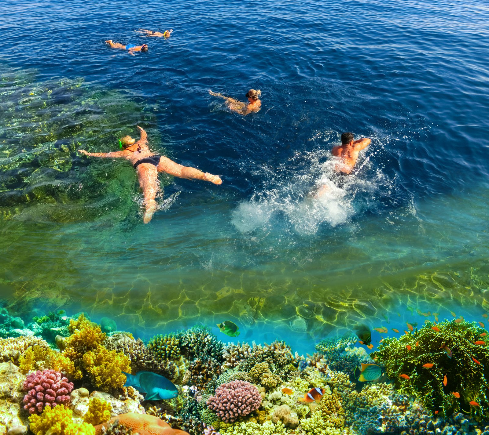 Sinai and Red Sea Egypt