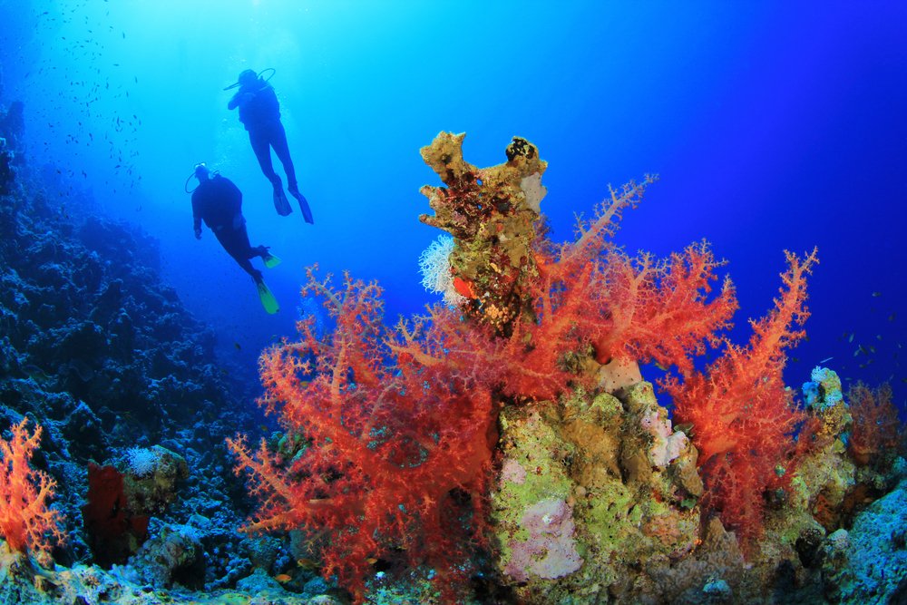 Sinai and Red Sea Egypt