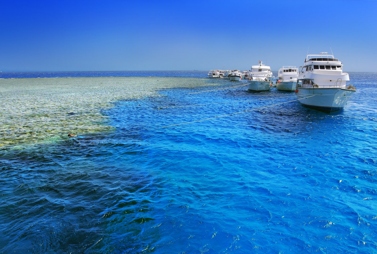 Sinai and Red Sea Egypt
