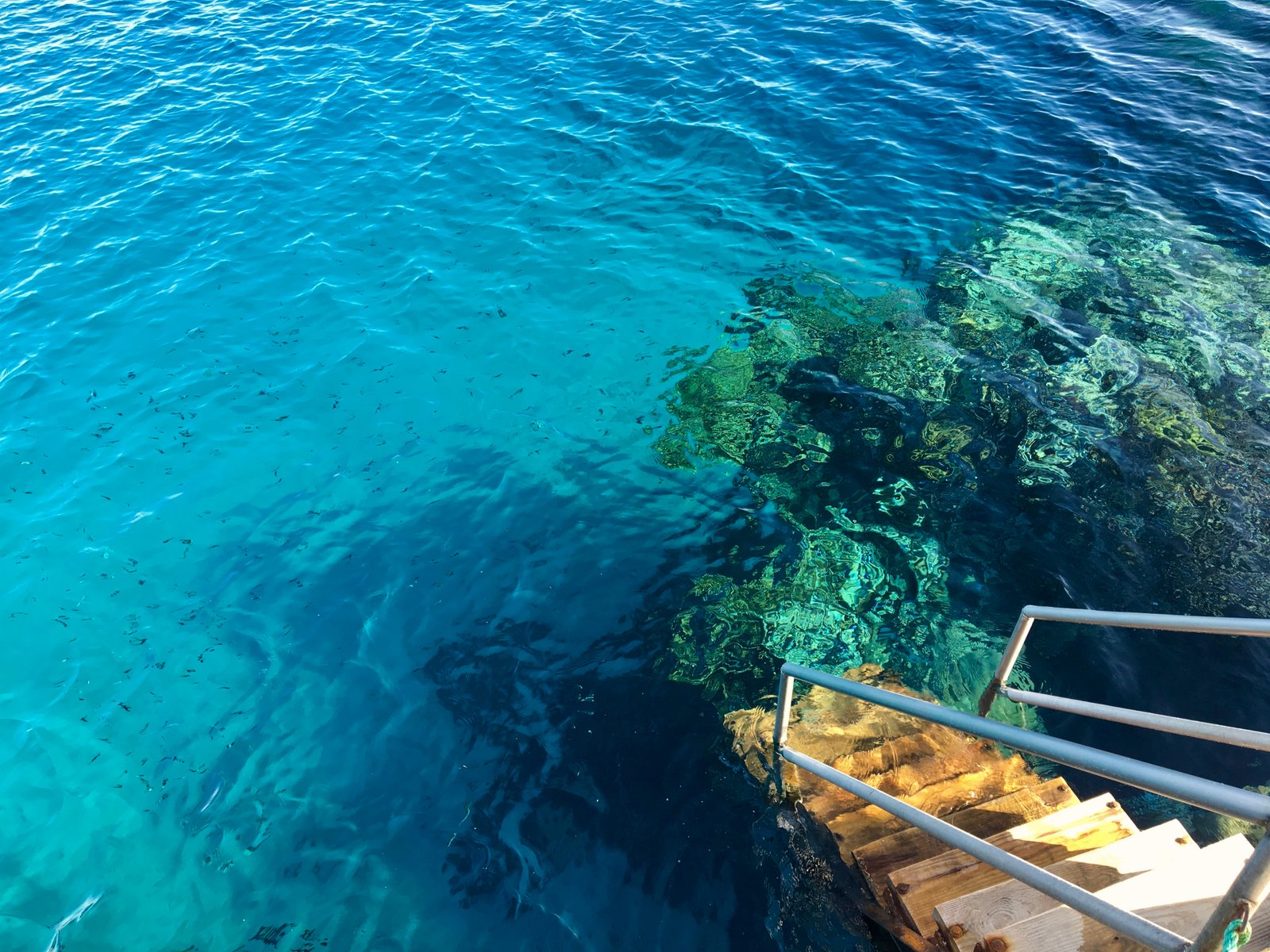 Sinai and Red Sea Egypt