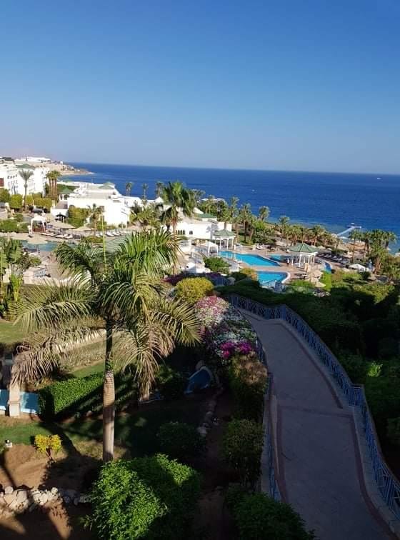 Red Sea coast